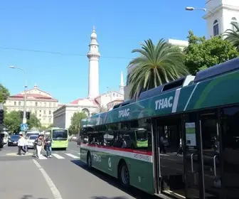 Eleitores de Anápolis terão transporte coletivo gratuito neste domingo (4); veja como vai funcionar