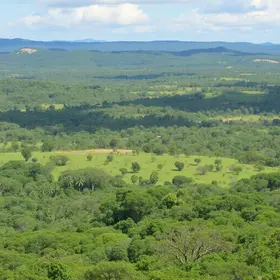 Anápolis e o Cerrado: características naturais da região