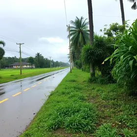 Período chuvoso em Anápolis: como organizar os passeios