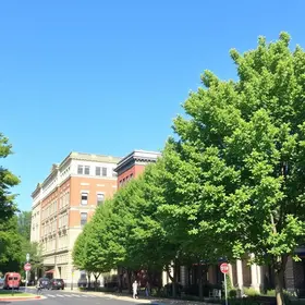O que fazer em Anápolis durante o fim de semana