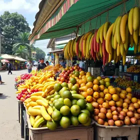 Onde comprar frutas e produtos do Cerrado em Anápolis